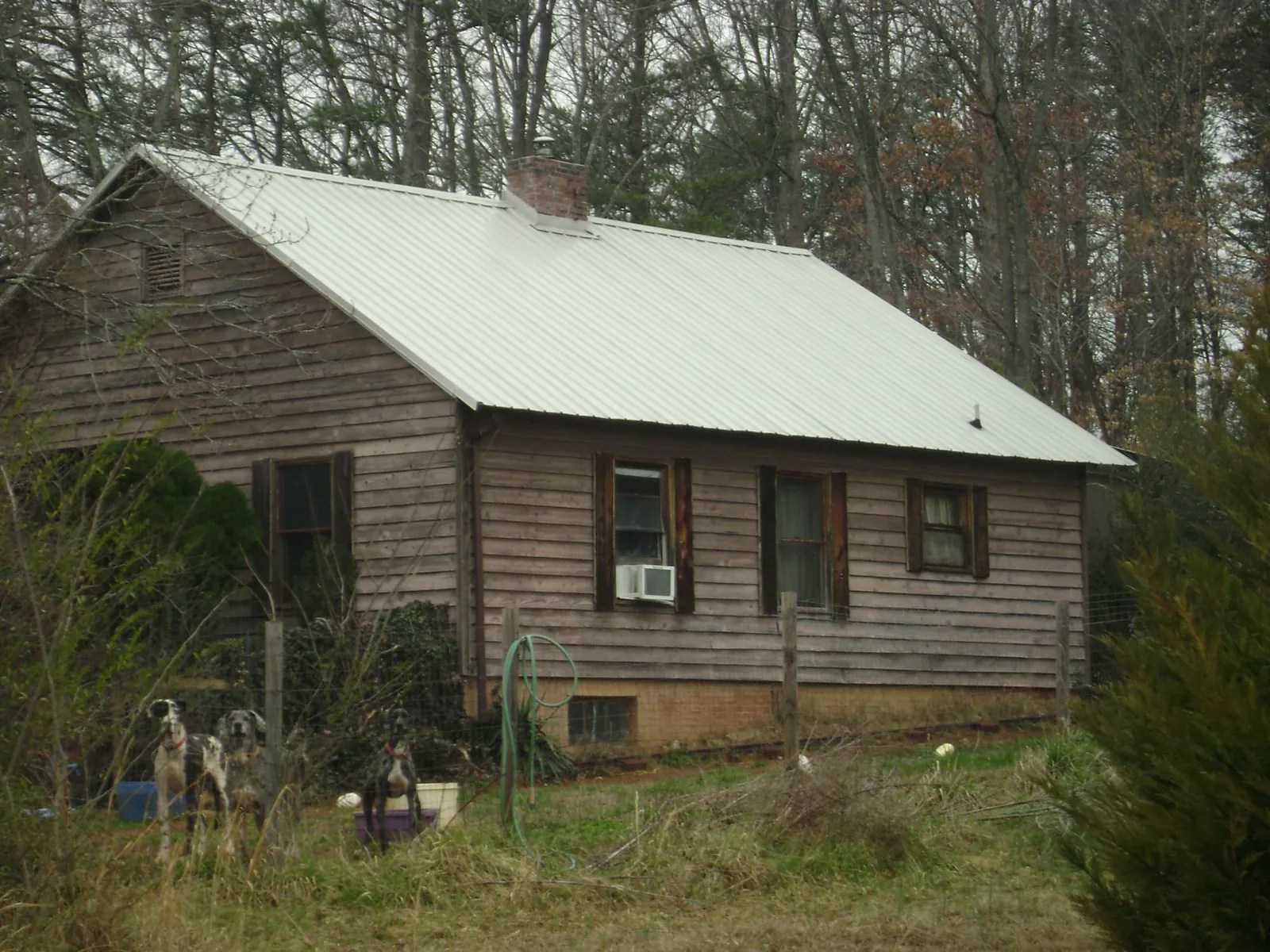 White metal roof on an old wood sided farmhouse, from a Asphalt Shingle Roof Repair job in Morgantown